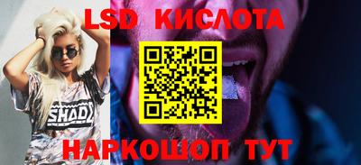 винт Донецк