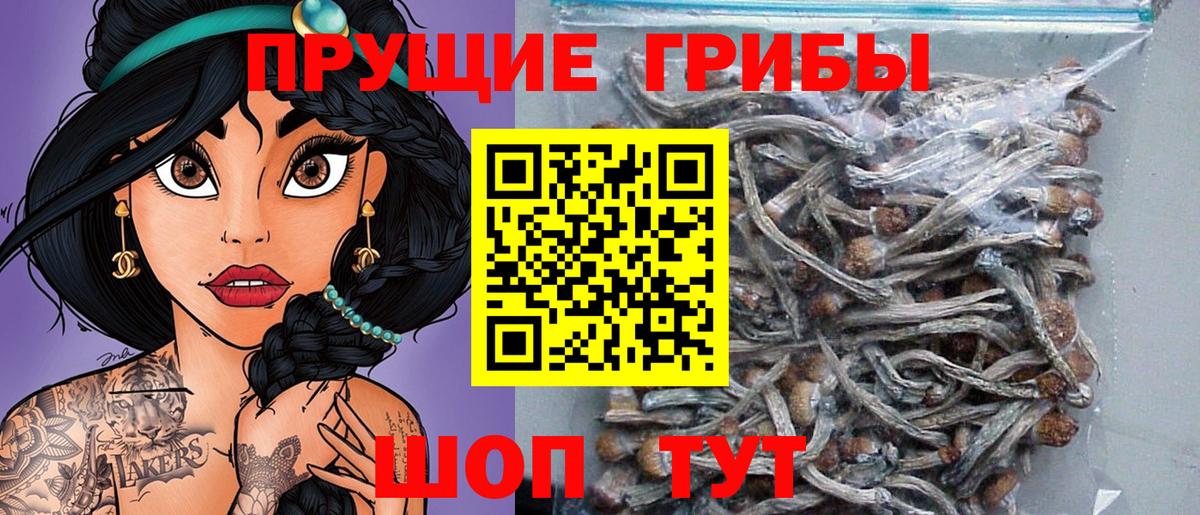 Галлюциногенные грибы мицелий Кострома